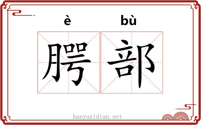 腭部