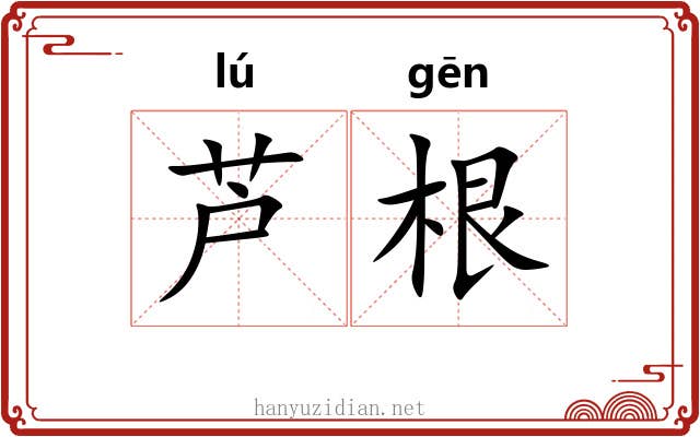 芦根