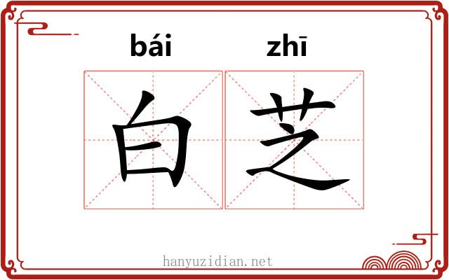 白芝 白芝