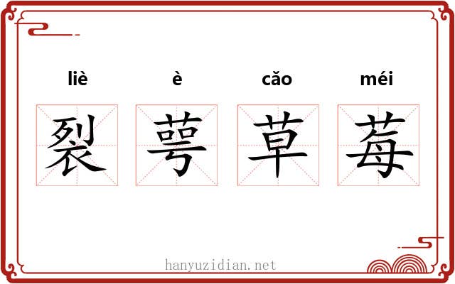 裂萼草莓