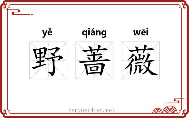 野蔷薇 野蔷薇