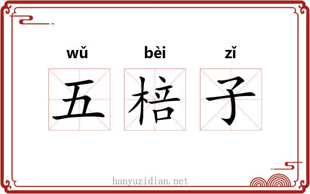 五棓子 五棓子