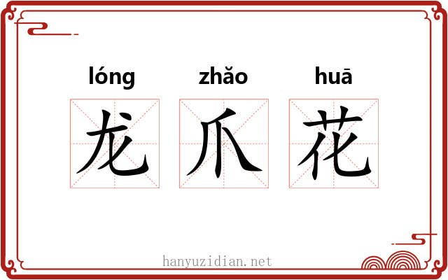龙爪花