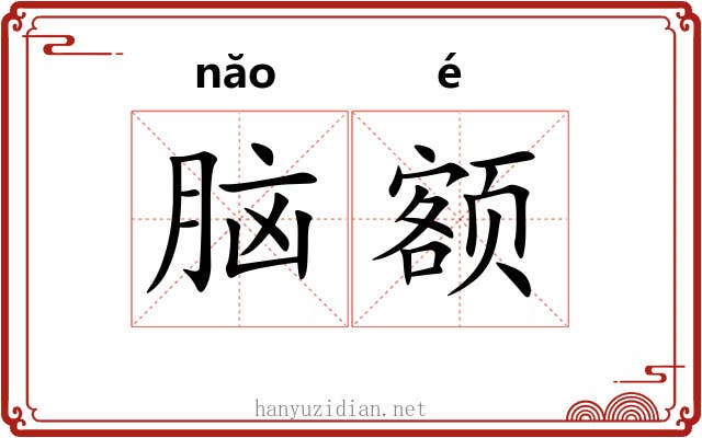脑额 脑额