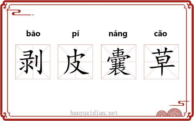 剥皮囊草 剥皮囊草