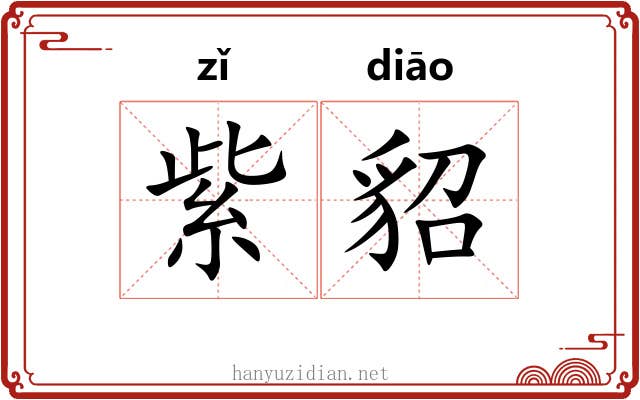 紫貂 紫貂