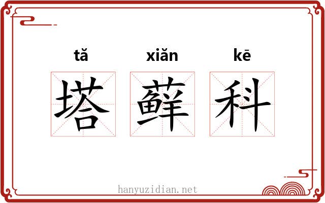 塔藓科 塔藓科