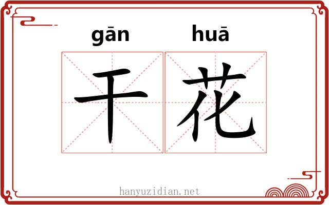干花 干花