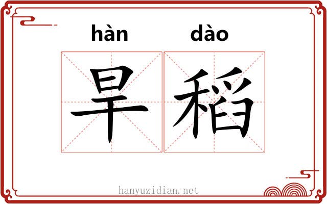 旱稻