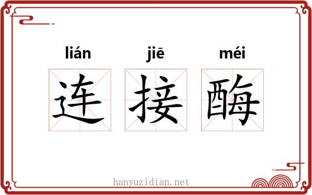 连接酶 连接酶