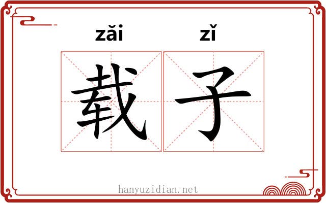 载子