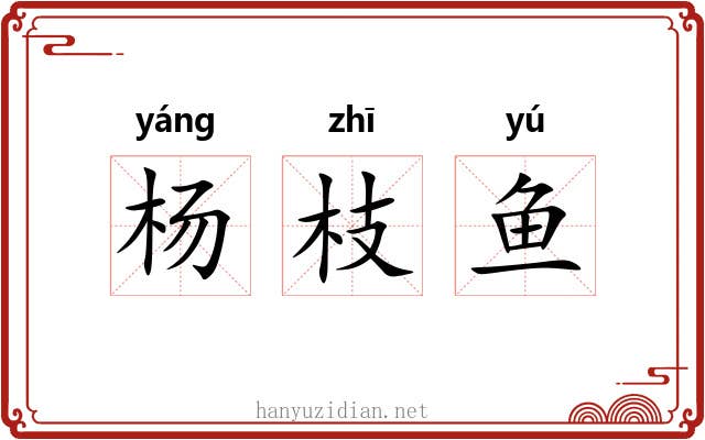 杨枝鱼