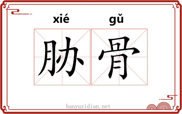 胁骨