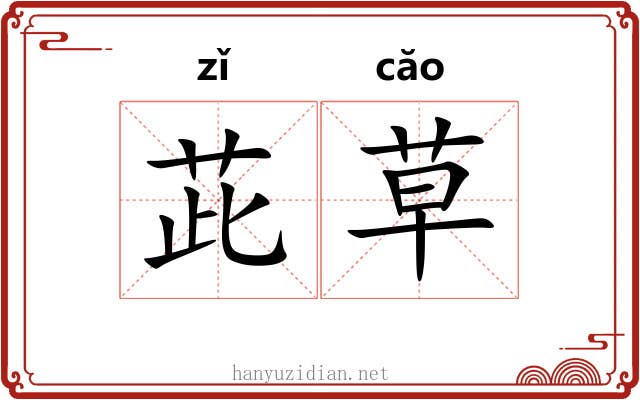 茈草 茈草