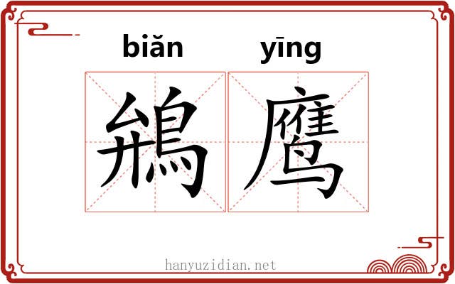 鴘鹰