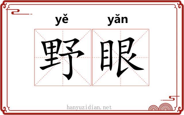 野眼