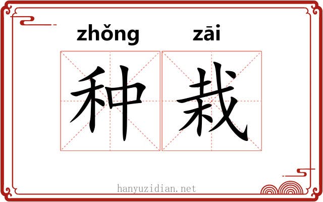 种栽 种栽