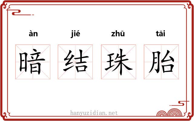 暗结珠胎