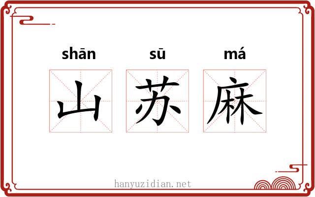 山苏麻