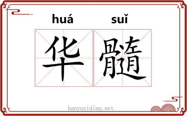 华髓