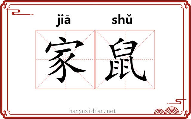 家鼠 家鼠
