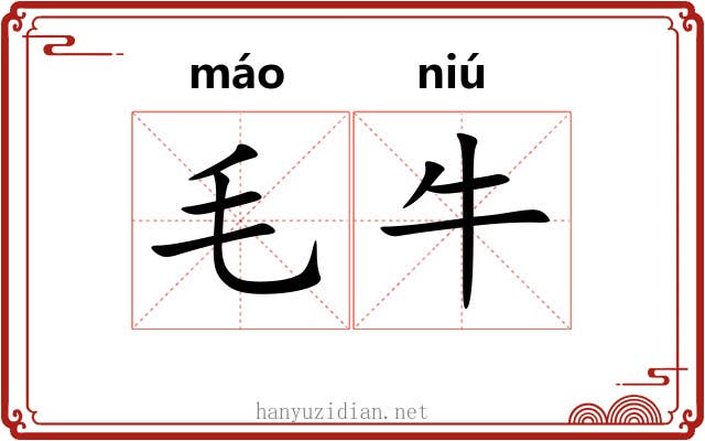 毛牛