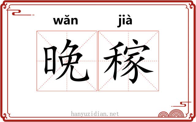 晚稼