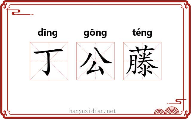 丁公藤