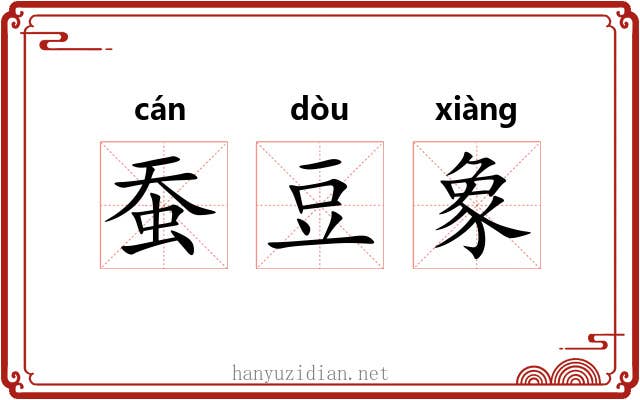 蚕豆象 蚕豆象