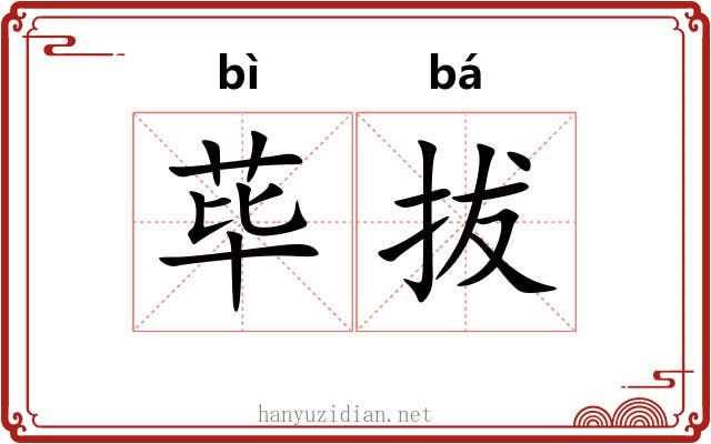 荜拔