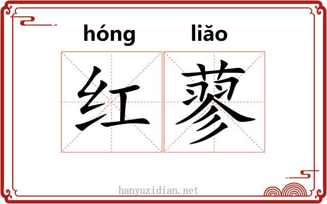 红蓼 红蓼