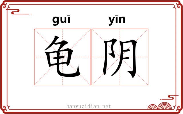 龟阴 龟阴