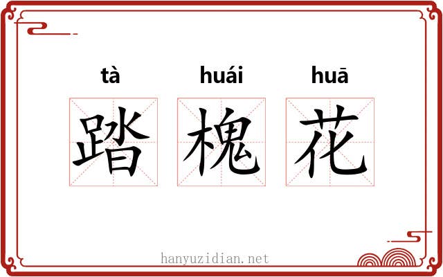 踏槐花 踏槐花