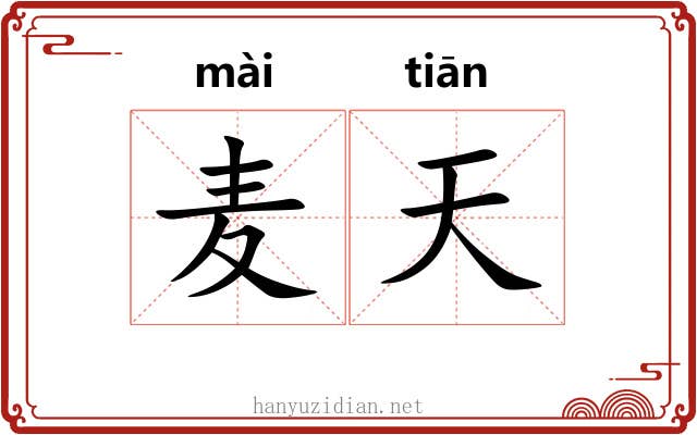 麦天