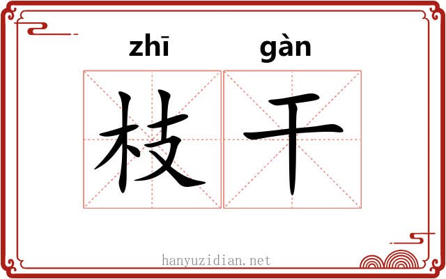 枝干 枝干