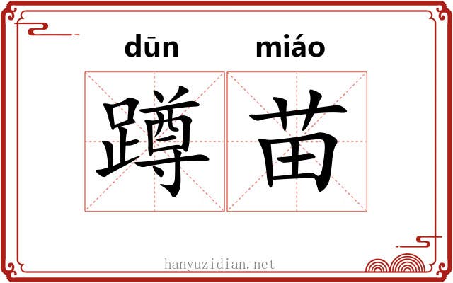 蹲苗 蹲苗