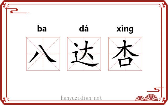 八达杏 八达杏