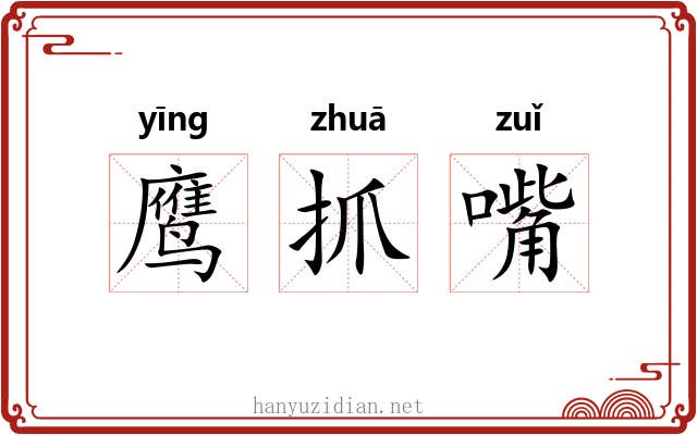 鹰抓嘴 鹰抓嘴