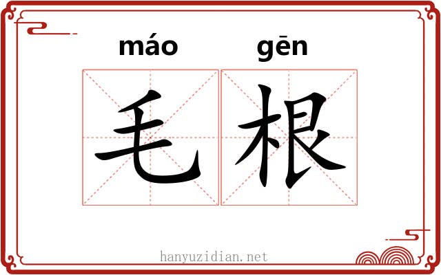 毛根