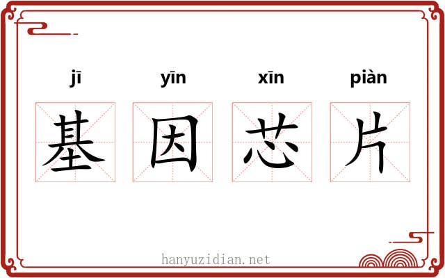 基因芯片 基因芯片