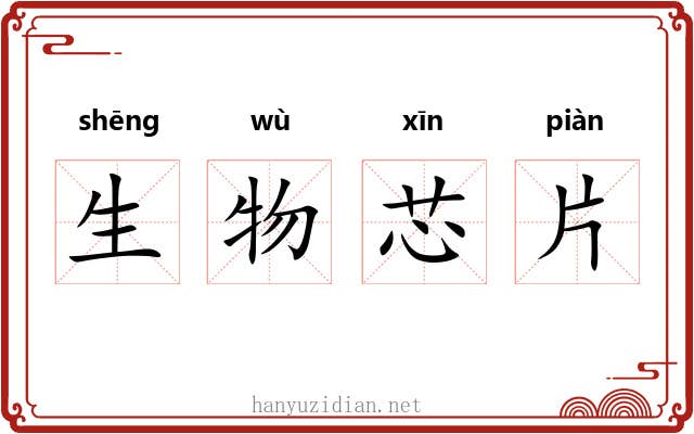 生物芯片 生物芯片