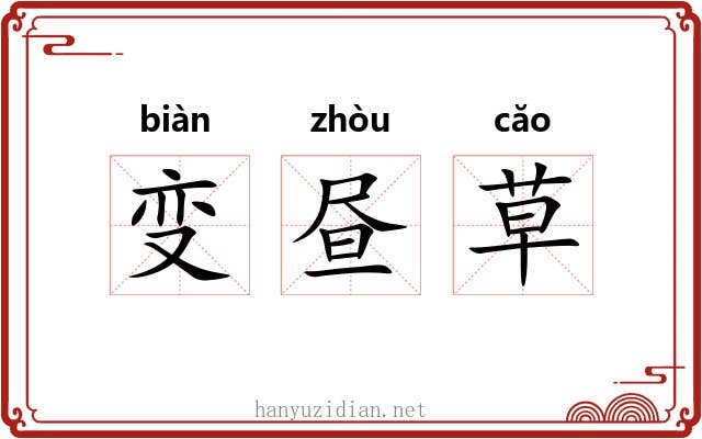 变昼草 变昼草