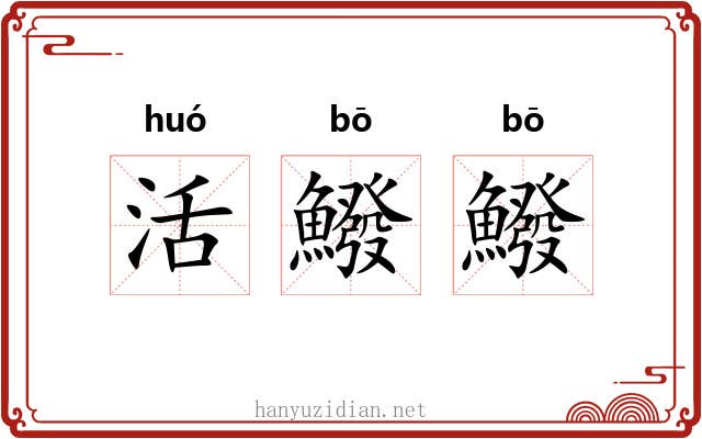 活鱍鱍