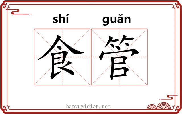 食管