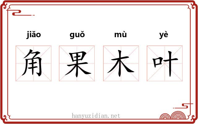 角果木叶 角果木叶
