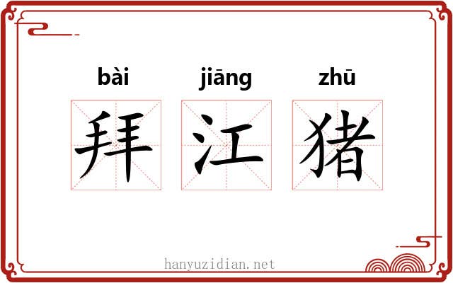 拜江猪