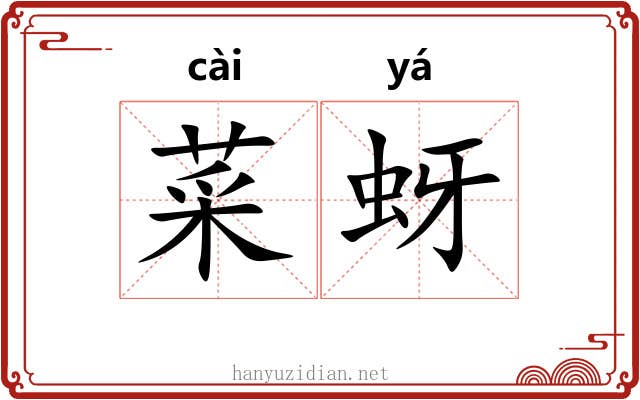 菜蚜