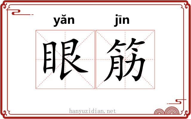 眼筋 眼筋
