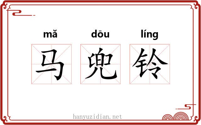 马兜铃