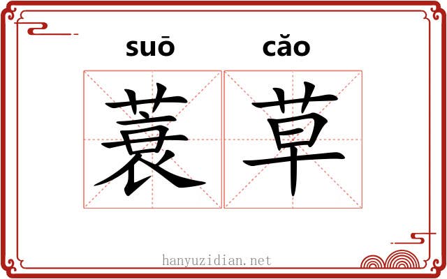 蓑草 蓑草